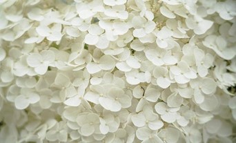 日本の梅雨を乗り越えるための、住宅環境づくりについて考えてみました。